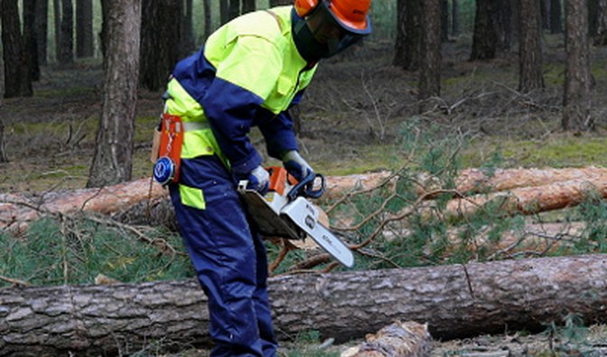 Interwencja służb w lesie w pobliżu Cieszyna