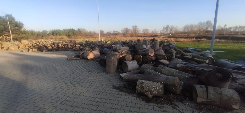 W Drawsku Pomorskim można kupić drewno. Burmistrz ogłosił przetarg. Znamy szczegóły